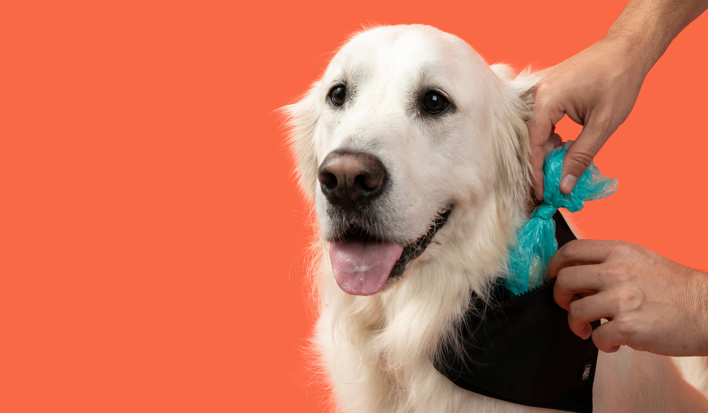 DOOKER - Zipper Pouch Bandana for Dog Poop