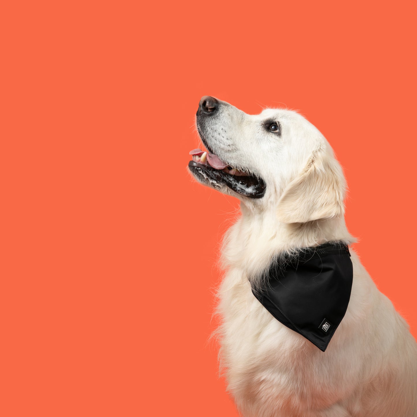 DOOKER - Zipper Pouch Bandana for Dog Poop