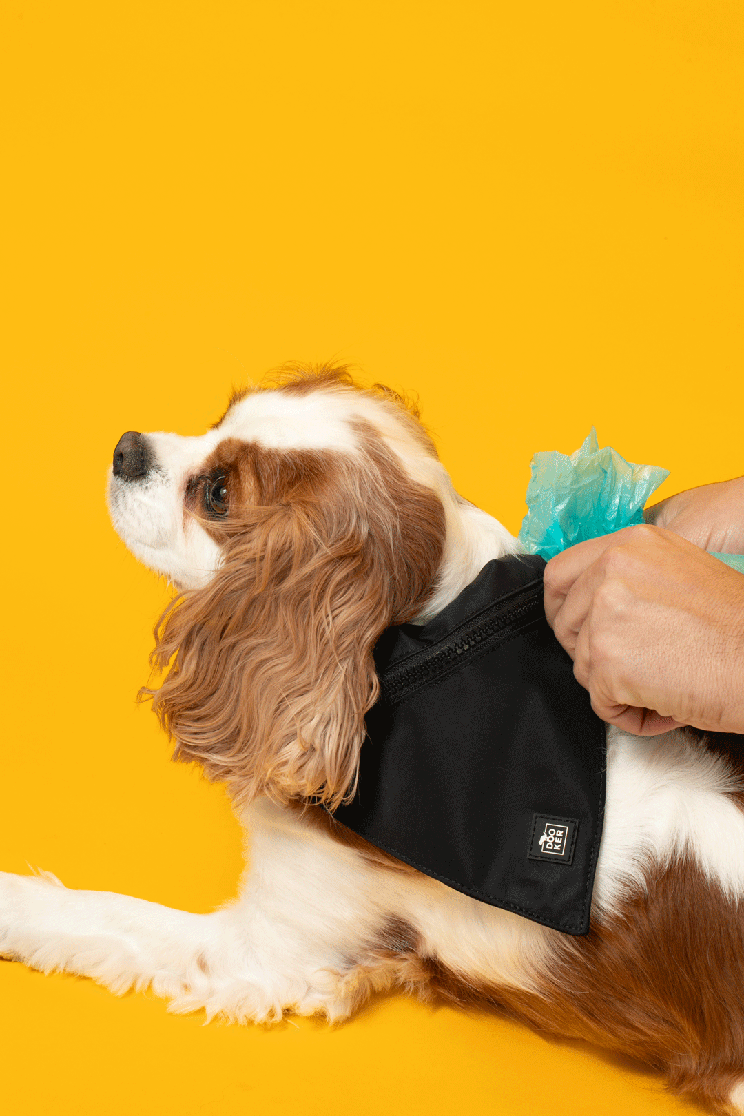 DOOKER - Zipper Pouch Bandana for Dog Poop